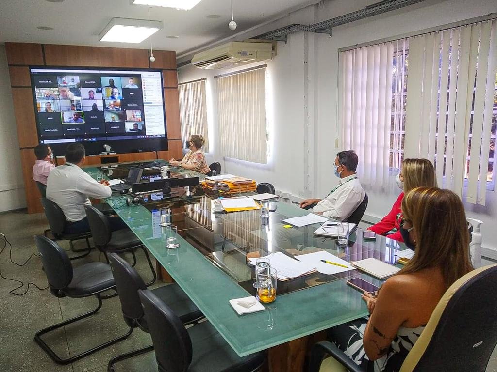 Reunião virtual Consema