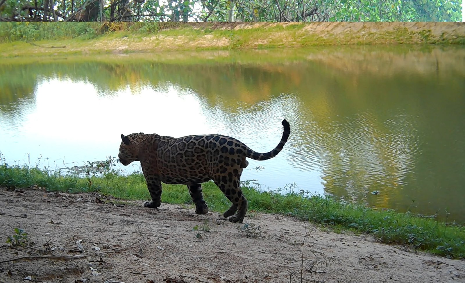 file-637811484438755334