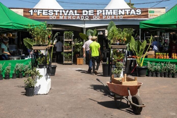 Festival no Mercado do Porto oferta sorvete de maça e pimenta, chocolate com pimenta e mais de 500 kg da especiaria