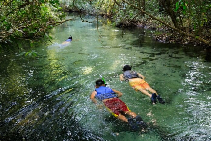 Turistas de 21 países visitaram Mato Grosso em busca de negócios, aventura e lazer