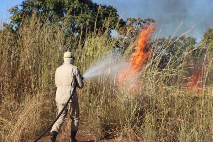 WhatsApp Image 2023-07-20 at 15.04.38 (1)