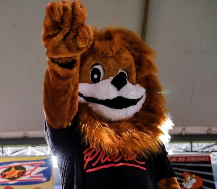 Polícia Militar atende 266 mil crianças e adolescentes pelo Proerd em 2023