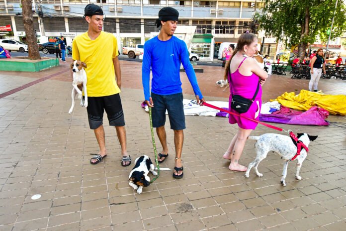 Prefeitura de Cuiabá promove a partir do dia 5 intensa programação durante o Agosto Animal