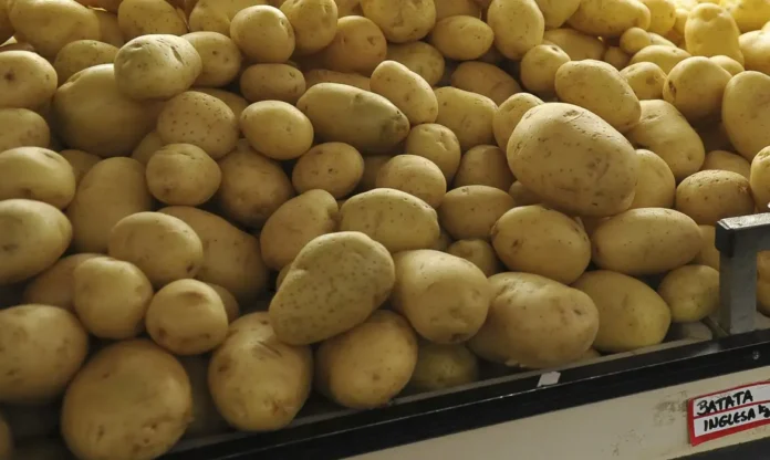 produto primario - Credito Agencia Brasil