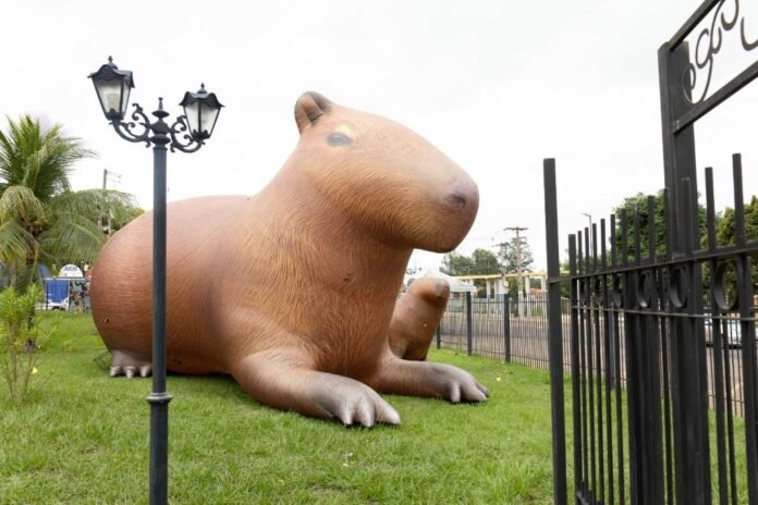 Capivara de quatro metros de altura
