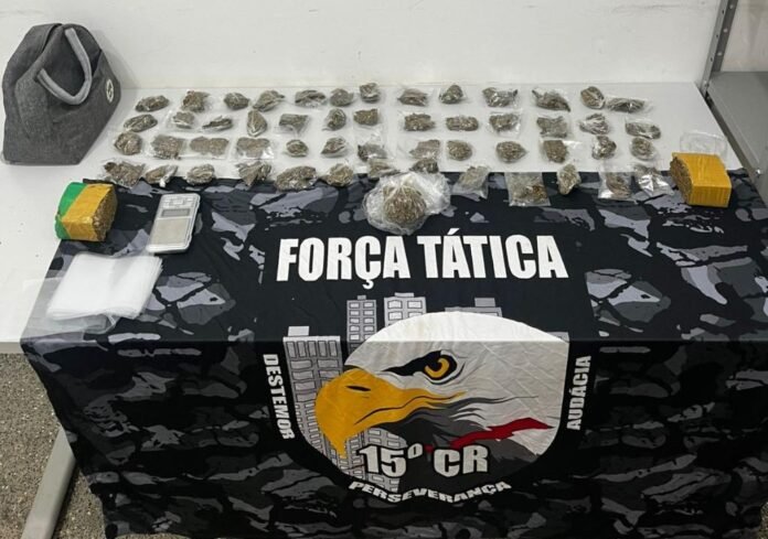 froca tatica peixoto de azevedo