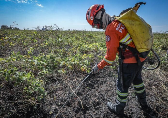 Combate à incêndios no Pantanal-63