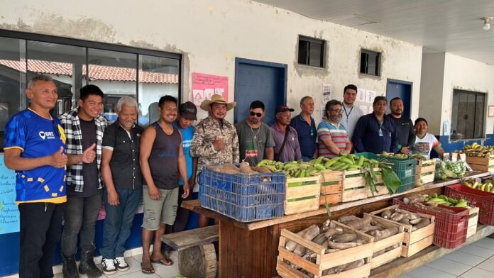 Alimentos colhidos na aldeia Imutina em Barra do Bugres