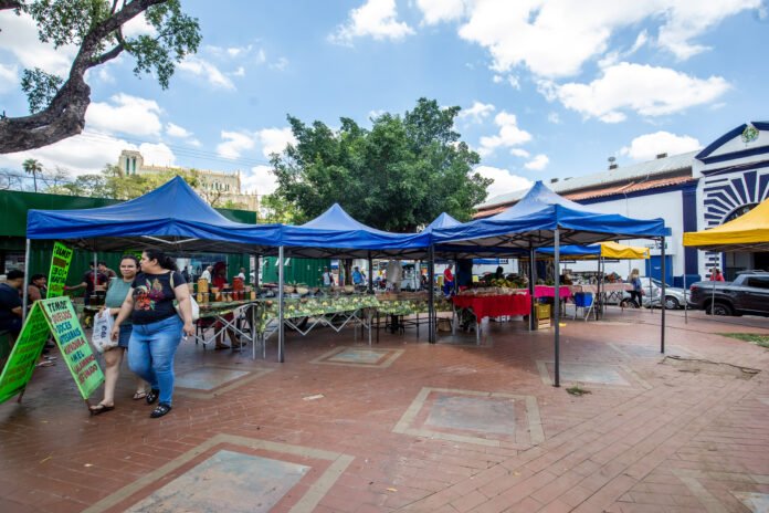 Feira da Agricultura Familiar Produtiva e Solidária