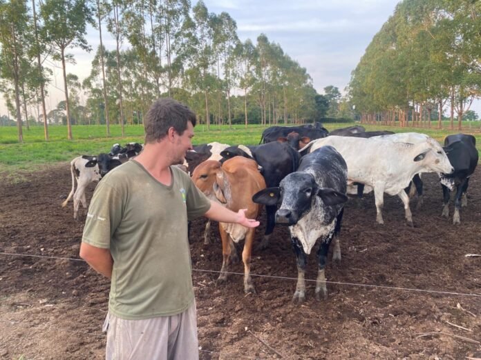 Programa de Melhoramento Genético do Rebanho Leiteiro