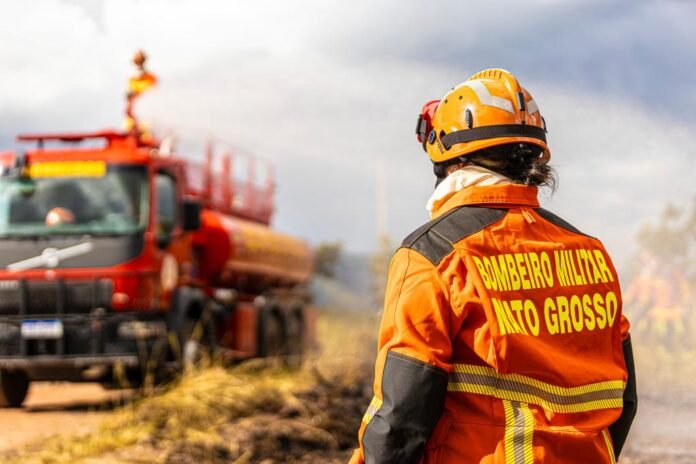 bombeiro incendio florestal