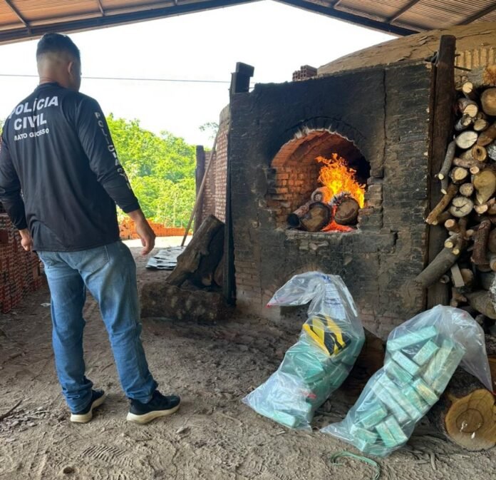 inceneracao drogas - policia civil