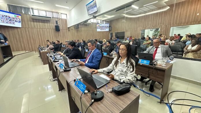 plenario camara vg 2