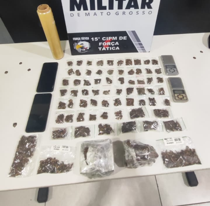 apreensao entorpecentes